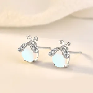 Boucles d'oreilles pendantes en argent Sterling S925, Style INS, mode, personnalité de luciole, pierre de lune, bijoux d'insecte pour dames