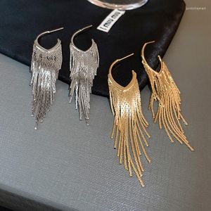 Boucles d'oreilles pendantes luxe chaînes en métal souple longue gland déclaration pour les femmes mode fête porter à la mode Chic coréen 2023
