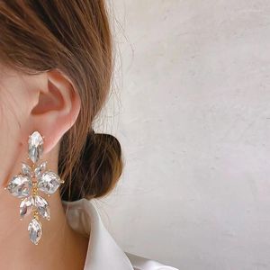 Boucles d'oreilles en peluche S925 Aigne argent mode européen et américain luxueux géométrique élégant exquis haut de gamme pour les femmes