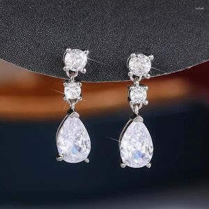 Boucles d'oreilles en peluche simple et élégante pour femmes en argent couleurs de couleur polyvalente accessoires d'oreille femme