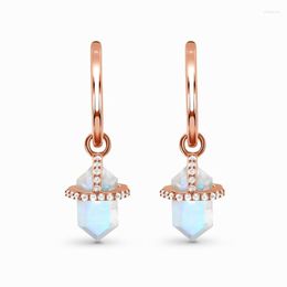 Boucles d'Oreilles Pendantes Diamant Six Faces Pierre de Lune Or Rose Long Women's Design Sense Fashion