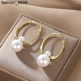 Bengelen oorbellen sterling zilveren naald Koreaanse geometrische parel mode speciaal belang licht luxe ontwerp temperament en overdreven