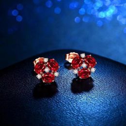 Boucles d'oreilles pendantes Sweet Petite Pigeon Blood Ruby Stud Femme Boucle d'oreille Hoop Femme Femme Homme Homme Homme Coréen Luxe