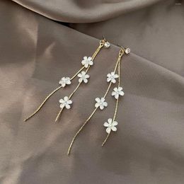 Boucles d'oreilles pendantes blanc minuscule fleur cristal Zircon Long Double gland pour les femmes résine feuille papillon marguerite perle boucle d'oreille bijoux