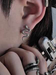 Pendientes con forma de serpiente de Año Nuevo Punk de Hip Hop oscuro, accesorios incoloros exagerados únicos para hombres y mujeres, tendencia de fiesta callejera