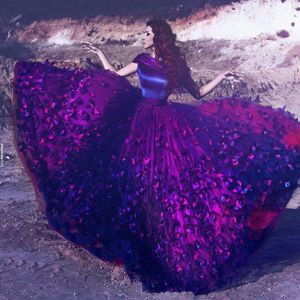 Donkere Paars Vlinder Applicaties Prom Dresses 2017 Cap Sleeves Tule Baljurk Avondjurken Custom Made The Mhamad Formal Party Jurken