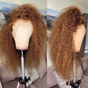 DarkMongolian cheveux brun 13x4 crépus bouclés dentelle avant perruque Afro bouclés dentelle perruque pour les femmes noires pré plumées avec des cheveux de bébé sans colle