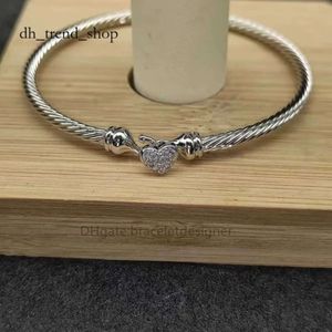 David Yurma Bracelet Designer Bracelets Bijoux De Luxe Mode Dy Haute Qualité Bracelet Classique Câble Intemporel 3mm Love Line Argent Or Everyday Match 8766