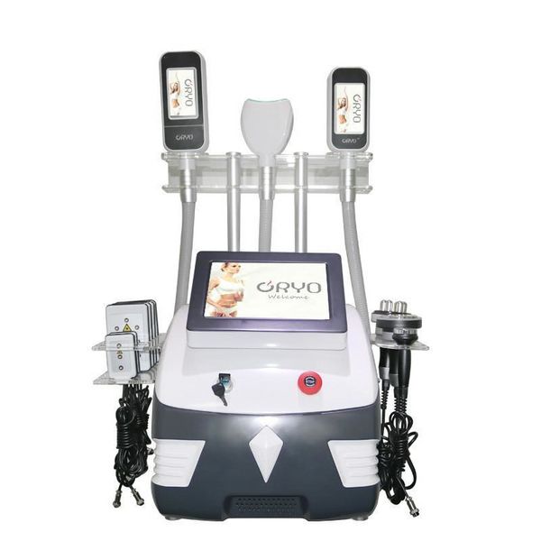 Equipo delgado portátil Dazzles Professional de salud 360 grados Fat Máquina de crioolipólisis congelada Fábrica de belleza multifuncional