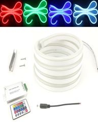 DC 12V LED Strip RGB Neon Light 5050 DIY Ruban 80ledsm voor Advertentie Etalage Letters el Verlichting Decoratief8451814