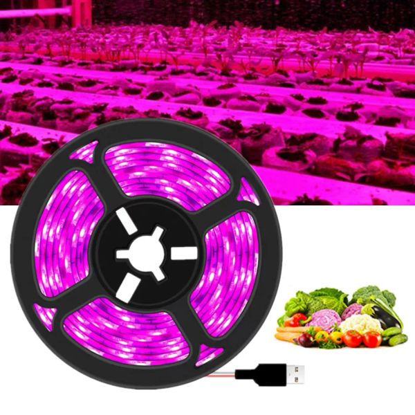 DC 5V USB LED élèvent la lumière spectre complet 1-5m lumière de plante élèvent la lampe Phyto de bande de LED pour la tente de culture de semis de fleur de légume