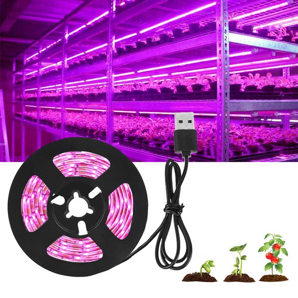 Luz LED de cultivo USB de 5V CC, espectro completo, 5m, 10m, tira de plantas, lámpara Phyto para caja de tienda de plántulas de flores vegetales