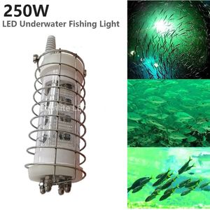 DC12-24V 250W LED Buscador de pesca Lámpara Señuelo de pesca Cebo Jaula de acero inoxidable Funda protectora