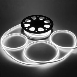 DC12V LED Strip 50M Flexibel Neonlicht Waterdicht IP65 Led Lint Touw Flex Buis Tape Kamer DIY