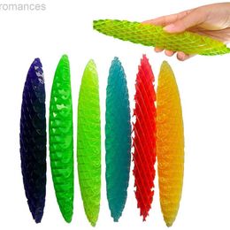 Descompresión Diseño de juguete Gusano Big Fidget juguete 3D Impresión Descompresión elástica neta antiestress ADHD Alivio de estrés Toy elástico para niños Adulto D240424