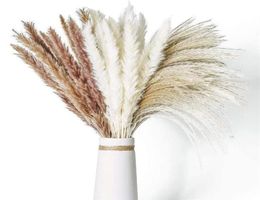 Décoration fleurs naturelles séchées Pampas Grass Fiori secchi Reed phragmites plantes bouquet pour la table d'accueil de la fête de mariage 27075544113