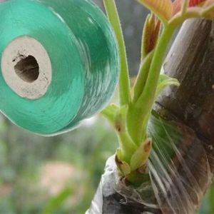 Décorations 1Roll Greff Film Stretch Film Greffing Tape Garden Accsories Protection de protection Plant Tool et accessoires Self-Mucosa