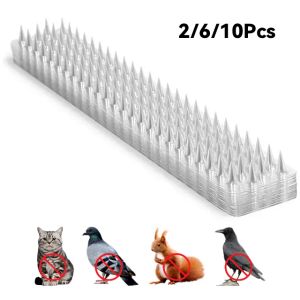 Decoraties 2/6/10 stks Spikes Repeller kat Plastic vogel Weerslag Anti -duif antibird Squirrel Garden Fences Control transparante spikes