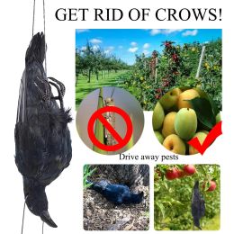 Decoraties 2021 Fake Bird Realistisch Hanging Dead Crow Decoy Lifesize Extra grote zwarte gevederde kraai Garden Bird Pest afschrikmiddel Repeller