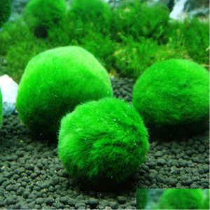 Décorations 23cm Marimo Moss Balls Live Rium Plante Algues Poisson Crevettes Réservoir Ornement Vert Ornemental Premier Plan Herbe 220713 Drop Deliv Dhduo