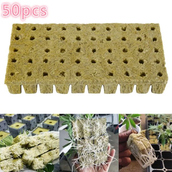 Décorations 50pcs Plant Starter Grow Pring Cubes Base Cubes pratiques pour le jardin Greenhouse Orchard Sun Room Applications hydroponiques