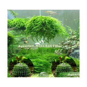 Decoraties Aquarium Marimo Moss Ball Live Plants Filter voor Java Garrims Fish Tank Ornamenten Drop levering Huis Tuin Pet Pet Supplies DHVKD