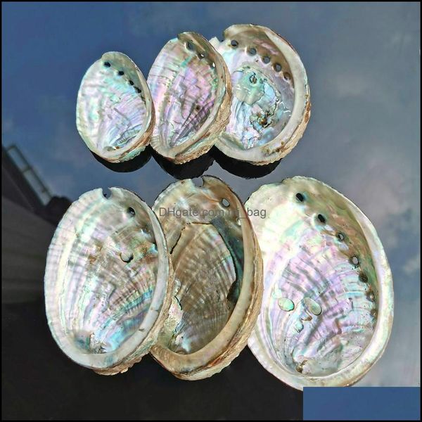 Decoraciones Acuarios Peces Suministros para mascotas Hogar Jardín 5 Tamaños Abalone Shell Decoración náutica Seashell Beach Wedding Shells Ocean Jewelry Diy Soa