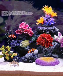 Décorations Aquarium paysage récif de corail évasion naturelle décoration coquille aquarium paysage ornements réservoir de mer récif aquarium décoration