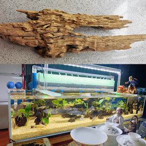 Décorations d'aquarium en bois de crevettes, décor naturel d'aquarium, grotte en bois flotté, ornements en bois, trou de tronc d'arbre, paysage de poissons en bois