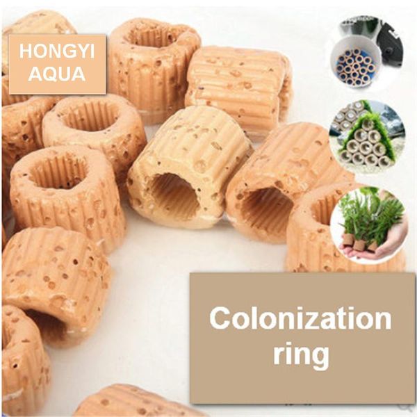 Décorations Hongyi 20 pcs céramique plante d'eau mousse fix céramique anneau pots de plantation petites particules sphériques filtre médias pour aquarium supp