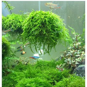 Decoraties mos mos kogelfilter natuur planten bodem filtratie vissen aquatisch huisdier benodigdheden aquarium aquarium vissen tank decor huis huisdierproducten decoratie 230428