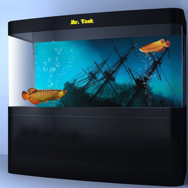 Décorations Mr.Tank Aquarium fond affiche océan fonds marins épaves vue Aquarium toile de fond autocollant Aquarium décorations accessoires