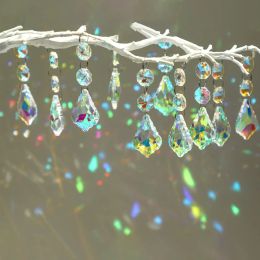 Décorations Prism Suncatcher Hanging Window Crystals Rainbow Feng Shui ab coloré octogonal Maple Leaf Pendant Garden Mariage Décor de maison