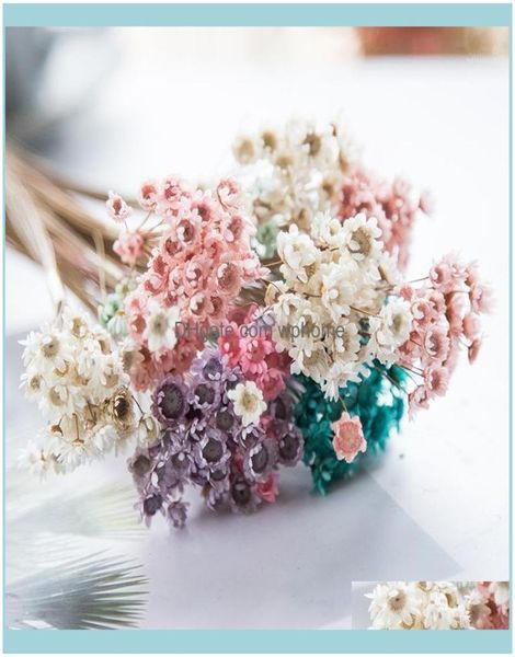 Suministros decorativos de fiesta festiva flores de jardinería coronas de 150 piezas de flor seca