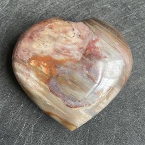 Decoratieve beeldjes 334G Natuursteen versteende houten hart gepolijste kristaldecoratie gesteente minerale liefde genezing reiki