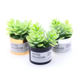 Decoratieve beeldjes 3pcs Doll House Micro Landschap Miniatuur Green Plant Pot Furniture Succulente planten Kleine pot