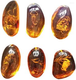 Decoratieve beeldjes 5 stuks amber fossiel met insecten monsters stenen kristallen exemplaren huisdecoratie collectie ovale hanger (willekeurig