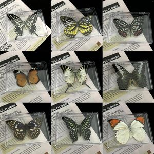 Figuras decorativas 5 piezas/lote Natural Mariposas Reales Regalo Exquisito Muestra de insectos para pasatiempos marco PO de bricolaje o pegatina para la pared del hogar