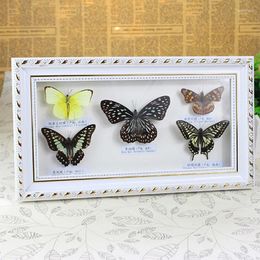 Figurines décoratives papillon spécimen papillons insecte taxidermie réel Po cadre artisanat anniversaire cadeau de mariage