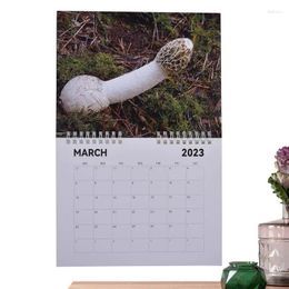 Decoratieve beeldjes Kalender 2024 Creatieve runs vanaf januari december Grappige olifant en geheime Santa Gag -cadeau maandelijks