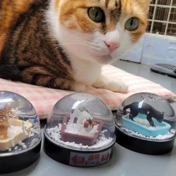 Figuritas decorativas, cápsulas de juguete para Kitan Waterdomefactory, arena para gatos, globo de nieve, tigre Kawaii, Calico, gatitos, decoración en miniatura de Anime