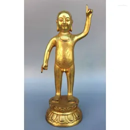 Figurines décoratives Collection bouddhisme chinois Bronze doré pointant le ciel bouddha moine Bonz Statue