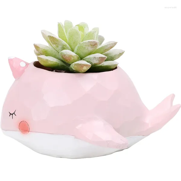 Pot à bonsaï en forme d'animal de dessin animé, Figurines décoratives, Pots de plantes succulentes pour décoration de cour/balcon, Pot de fleurs