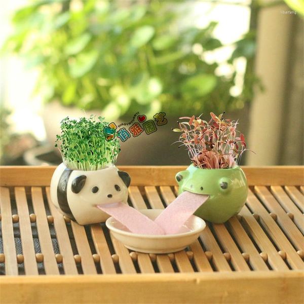 Figurines décoratives boire créatif mignon dessin animé Panda grenouille Animal en céramique ornement de table plantation jouets en pot cadeaux personnalisés