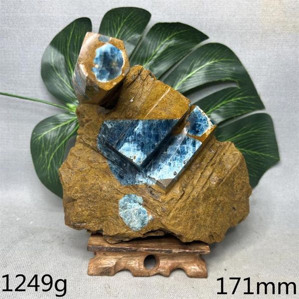 Figuras decorativas Piedra preciosa natural Espécimen mineral original Apatita azul Cristal único Super energía Hogar Habitación Espíritu Decoración Piedra