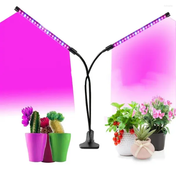 Figuras decorativas para cultivo de plantas, luz con diseño de sincronización, luz solar de espectro completo, temporizador de tira larga, atenuador bajo para interior