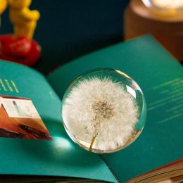 Figurines décoratives Real Dandelion Crystal Glass Resin Lens Ball Plantes naturelles spécimen Feng Shui Fleurs Christmas Love Gift Home Decor