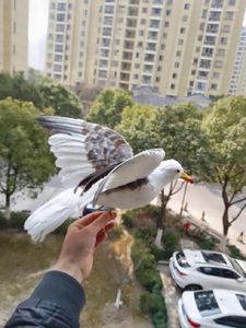 Decoratieve Beeldjes Simulatie Zeemeeuw Vogel Statisch Model Spreidende Vleugels Ornamenten Ambachtelijke Tuinieren Huis Tuin Decoratie Cadeau P1000