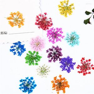 Flores decorativas 1-1,5 CM Mini encaje DIY prensado para decoración de uñas 120 piezas envío gratis