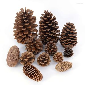 Decoratieve bloemen 1-10 stks Natuurlijke gedroogde planten Pine Cone Acorn kunstmatige bloem voor doe-het-zelf Christmasscrapbooking Garland krans bruiloft